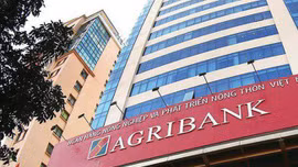  Đấu giá khoản nợ trị giá hơn 90 tỷ đồng của Công ty TNHH Móng Cái Plaza tại Agribank - Chi nhánh Bắc Hà Nội. Ảnh minh họa: Internet