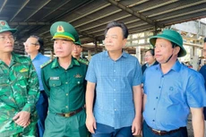 Thứ trưởng Nguyễn Hoàng Hiệp (áo kẻ xanh đứng giữa) cùng lãnh đạo tỉnh Gia Lai kiểm tra tàu thuyền tại cảng Quy Nhơn chiều 5/11 - Ảnh: Tuấn Anh.
