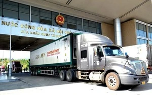 Đảm bảo giải quyết thông quan nhanh đối với hàng hóa xuất khẩu, nhập khẩu trong đợt cao điểm sát Tết Nguyên đán.