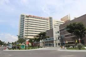 Ngày 8/4/2026, đấu giá quyền khai thác và sử dụng mặt bằng cung cấp dịch vụ căn tin tại Bệnh viện Đa khoa Củ Chi (TP.HCM)