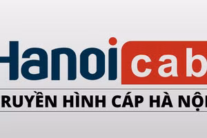 Ngày 4/6/2026, đấu giá toàn bộ vốn đầu tư của Công ty cổ phần Truyền hình cáp Hà Nội tại Công ty cổ phần Truyền hình HiTV