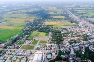 Ngày 23/7/2026, đấu giá quyền sử dụng đất tại xã An Ninh, tỉnh Tây Ninh