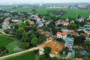 Ngày 25/7/2026, đấu giá quyền sử dụng đất tại xã Hạ Bằng, thành phố Hà Nội