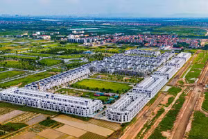 Ngày 21/7/2025, đấu giá thanh lý xe ô tô các loại năm 2025 tại tỉnh Phú Thọ