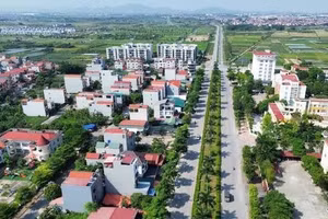 Ngày 28/7/2026, đấu giá quyền sử dụng đất tại xã Quang Minh, thành phố Hà Nội