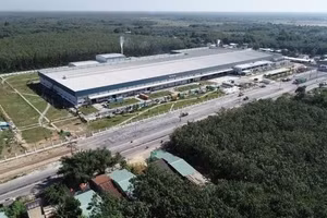 Ngày 12/8/2026, đấu giá quyền sử dụng đất, công trình xây dựng và hệ thống dây chuyền Máy móc thiết bị tại TP.HCM