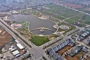 Ngày 18/7/2026, đấu giá quyền sử dụng đất tại phường Dương Nội, Hà Nội