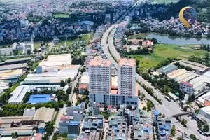 Ngày 6/8/2026, đấu giá quyền sử dụng đất tại phường Chương Mỹ, thành phố Hà Nội