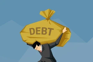 Ngày 29/7/2025, đấu giá toàn bộ 03 khoản nợ tại Agribank Chi nhánh Bình Thạnh