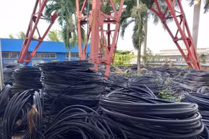 Ngày 5/8/2026, đấu giá Cáp đồng viễn thông đã qua sử dụng không còn nhu cầu sử dụng của Viễn thông Lâm Đồng