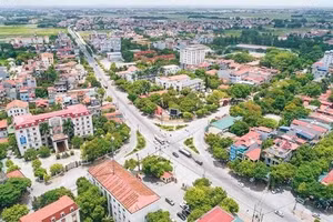 Ngày 20/7/2026, đấu giá quyền sử dụng đất tại xã Trung Giã, thành phố Hà Nội