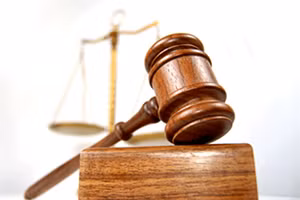 Ngày 24/7/2025, đấu giá Lô hàng bị tổn thất tại TP. Hà Nội