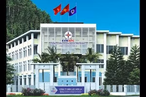 Ngày 23/7/2026, đấu giá vật tư, tài sản cố định của Công ty Điện lực Sơn La