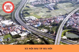 Ngày 4/7/2026, đấu giá quyền sử dụng đất tại xã Nội Bài, thành phố Hà Nội