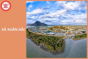 Ngày 10/7/2026, đấu giá quyền sử dụng 3 lô đất tại xã Xuân Hải, tỉnh Khánh Hòa