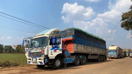 Xe hàng hóa ở cửa khẩu Tây Ninh