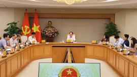 Phó Thủ tướng Lê Tiến Châu họp với các bộ, cơ quan ngang bộ về dự thảo Đề án thí điểm đánh giá, chấm điểm (KPI) về công tác xây dựng pháp luật - Ảnh: VGP/Thu Sa