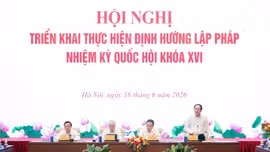 Phó Thủ tướng Lê Tiến Châu phát biểu tại Hội nghị triển khai thực hiện Định hướng lập pháp nhiệm kỳ Quốc hội khóa XVI - Ảnh: VGP/Thu Sa