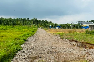 Dù thanh khoản chưa bùng nổ, nhiều chuyên gia cho rằng thị trường đất vùng ven TP.HCM đang bước vào giai đoạn dò đáy khi mặt bằng giá đã điều chỉnh đáng kể. Ảnh: Gia An