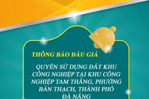 VietinBank Nam Đà Nẵng thông báo bán đấu giá tài sản bảo đảm