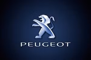 Ngày 29/07/2026, đấu giá 01 chiếc xe ô tô nhãn hiệu PEUGEOT tại tỉnh Nghệ An