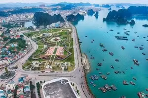 Ngày 13/7/2026, đấu giá quyền sử dụng đất tại Khu đô thị Du lịch và bến cảng cao cấp Ao Tiên, Đặc khu Vân Đồn, tỉnh Quảng Ninh