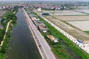 Ngày 09/07/2026, đấu giá quyền sử dụng đất ở đối với 17 thửa đất tại xã Ứng Thiên, TP. Hà Nội