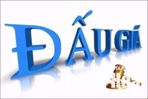 Ngày 06/8/2026, đấu giá 02 xe ô tô đã qua sử dụng tại tỉnh Quảng Trị