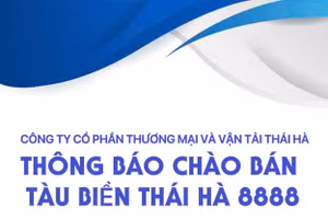 Công ty cổ phần Thương mại và Vận tải Thái Hà thông báo chào bán tàu biển Thái Hà 8888