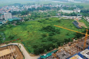 Dự thảo Luật bổ sung quy định nâng tỷ lệ tiền đặt trước trong đấu giá quyền sử dụng đất. Ảnh minh họa: Lê Gia Khoa