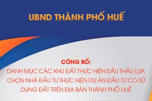 Danh mục các khu đất thực hiện đấu thầu lựa chọn nhà đầu tư thực hiện dự án đầu tư có sử dụng đất trên địa bàn thành phố Huế