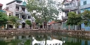 Ngày 11/6/2026, đấu giá quyền sử dụng đất và toàn bộ tài sản gắn liền với đất tại xã Đan Phượng, TP. Hà Nội