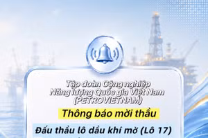 Tập đoàn Công nghiệp - Năng lượng Quốc gia Việt Nam thông báo mời thầu