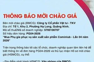 Công ty cổ phần Vật tư - TKV thông báo mời chào giá đơn hàng PG04-2026 