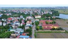 Ngày 26/03/2026, đấu giá quyền sử dụng đất và tài sản gắn liền với đất tại xã Kim Anh, TP. Hà Nội