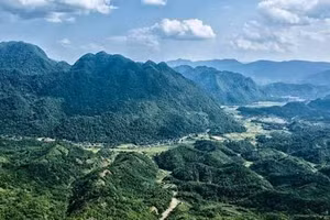 Ngày 06/7/2026, đấu giá quyền sử dụng đất và tài sản gắn liền với đất tại xã Thiết Ống, tỉnh Thanh Hóa