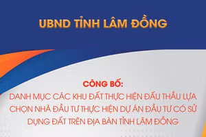 Danh mục các khu đất thực hiện đấu thầu lựa chọn nhà đầu tư thực hiện dự án đầu tư có sử dụng đất trên địa bàn tỉnh Lâm Đồng