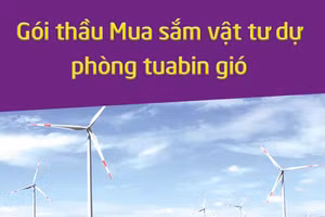 Công ty TNHH Đầu tư và quản lý điện gió Cư Né thông báo chào hàng cạnh tranh