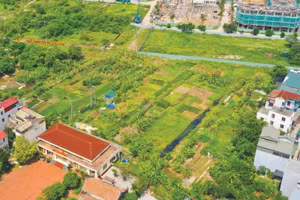 Các quỹ đất đấu giá đã hoàn tất giải phóng mặt bằng và được đầu tư hạ tầng đồng bộ. Ảnh minh họa: Thu Huyền
