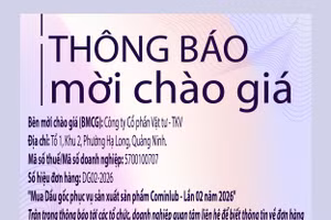 Công ty cổ phần Vật tư - TKV thông báo mời chào giá đơn hàng DG02-2026 