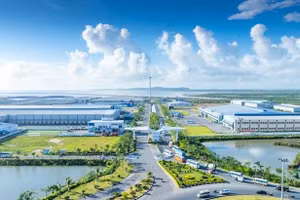 Ngày 20/8/2026, đấu giá quyền sử dụng đất tại xã Nguyễn Lương Bằng, Thành phố Hải Phòng