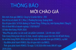Công ty Cổ phần Vật tư - TKV thông báo mời chào giá