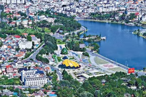 Ngày 09/7/2026, đấu giá quyền sử dụng đất và tài sản gắn liền với đất tại tỉnh Lâm Đồng