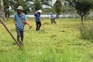 Dịch vụ công ích là các công việc mang tính lặp lại theo chu kỳ, kỹ thuật thực hiện tương đối đơn giản. Ảnh: Tiến Giang