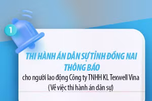 Thi hành án dân sự tỉnh Đồng Nai thông báo cho người lao động Công ty TNHH KL Texwell Vina