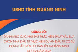 Danh mục các khu đất thực hiện đấu thầu lựa chọn nhà đầu tư thực hiện dự án đầu tư có sử dụng đất trên địa bàn tỉnh Quảng Ninh đợt 02 năm 2026