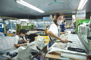 Đề xuất sửa đổi các luật thuế hướng tới việc tạo điều kiện thuận lợi và giảm áp lực thuế cho doanh nghiệp, hộ kinh doanh và cá nhân. Ảnh: Tiên Giang