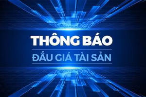 Ngày 09/7/2026, đấu giá quyền sử dụng đất tại phường Nam Đông Hà, tỉnh Quảng Trị