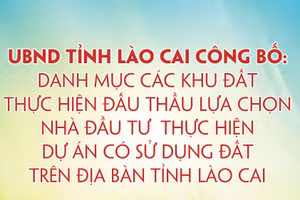 Danh mục các khu đất thực hiện đấu thầu lựa chọn nhà đầu tư thực hiện dự án đầu tư có sử dụng đất trên địa bàn tỉnh Lào Cai