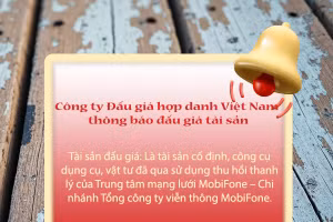 Công ty Đấu giá hợp danh Việt Nam thông báo đấu giá tài sản